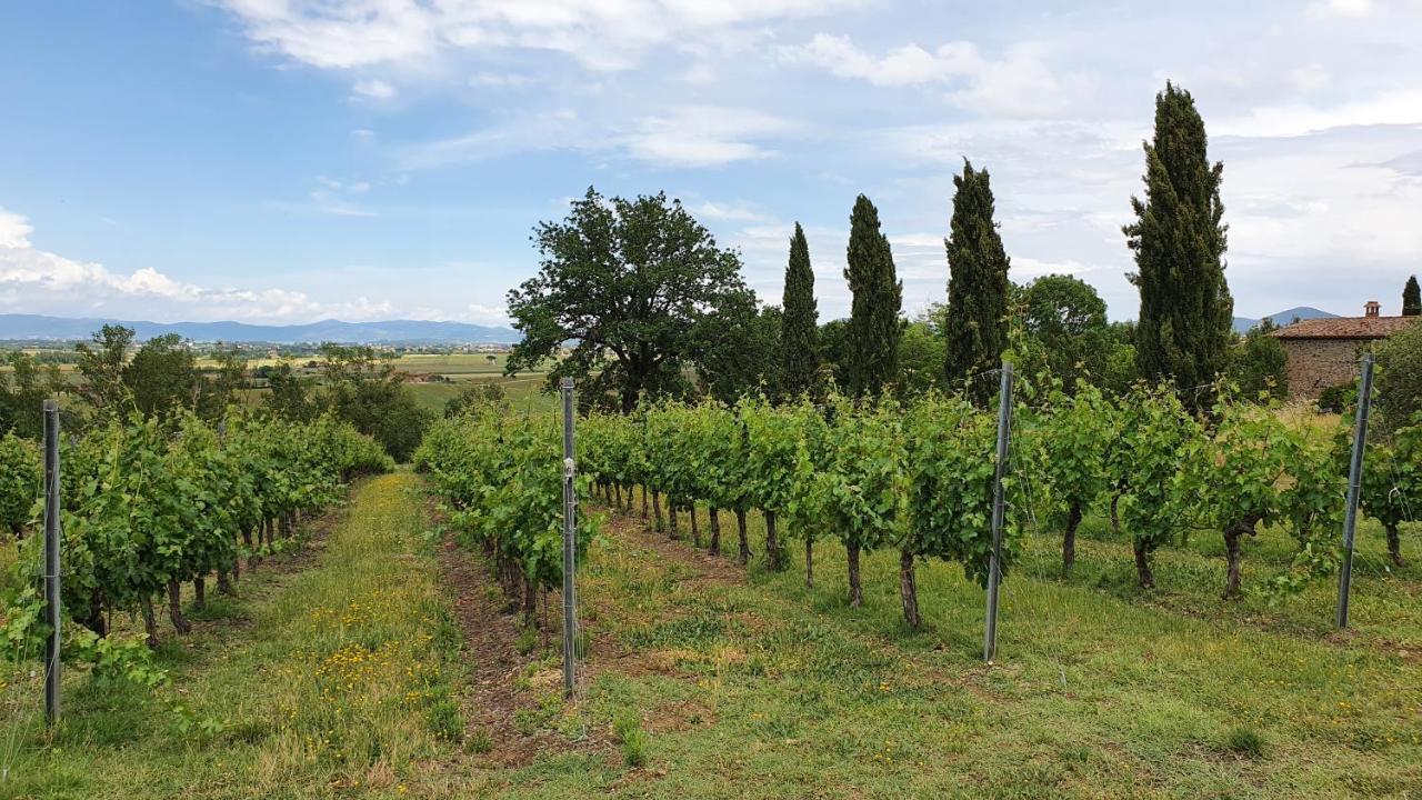 Vacanze Sant Andrea Paciano Exterior photo