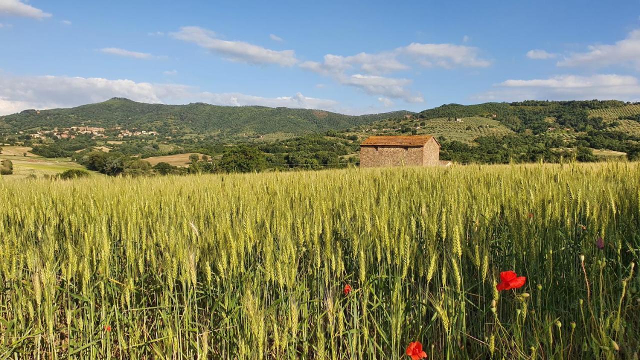 Vacanze Sant Andrea Paciano Exterior photo
