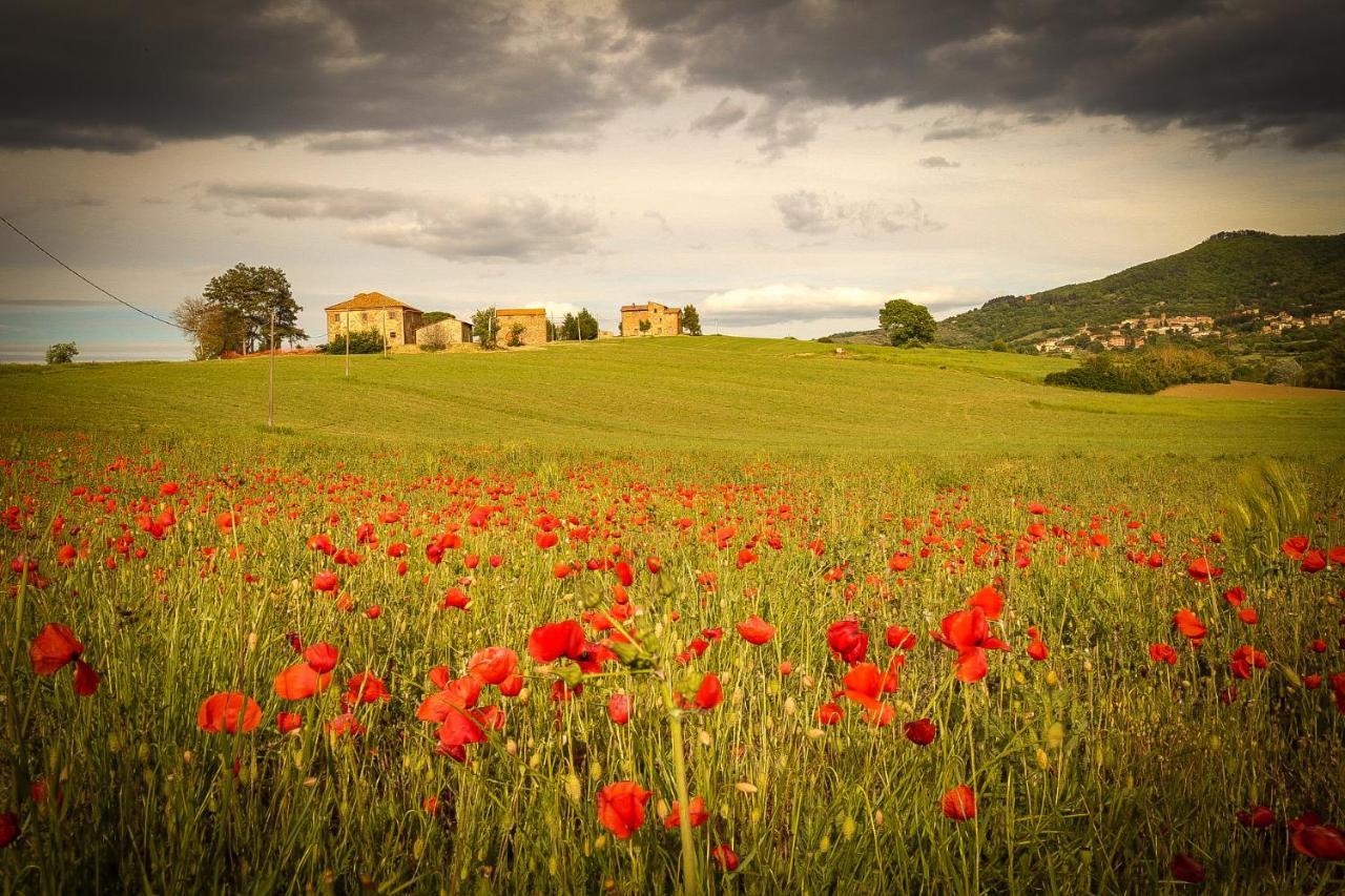 Vacanze Sant Andrea Paciano Exterior photo