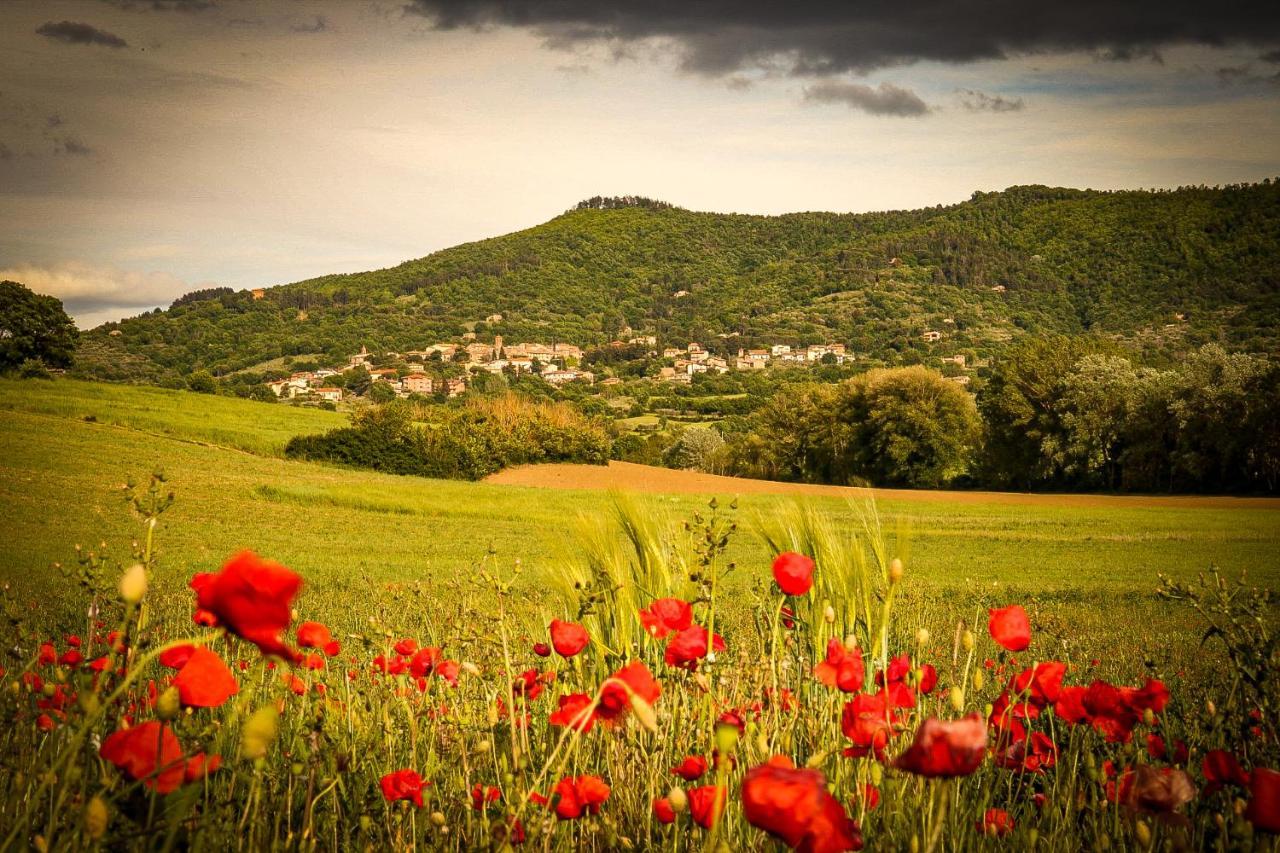 Vacanze Sant Andrea Paciano Exterior photo